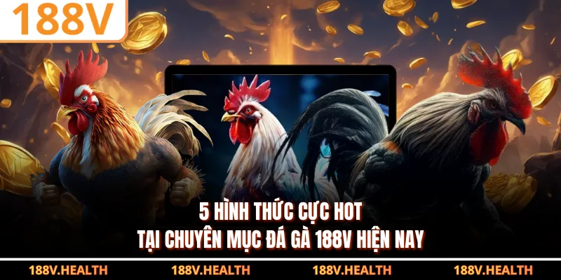 5 hình thức cực hot tại chuyên mục đá gà 188V hiện nay