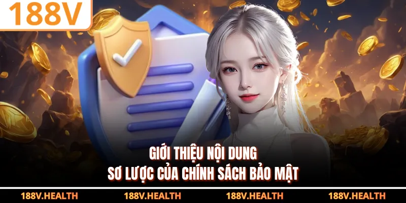 Giới thiệu nội dung sơ lược của chính sách bảo mật